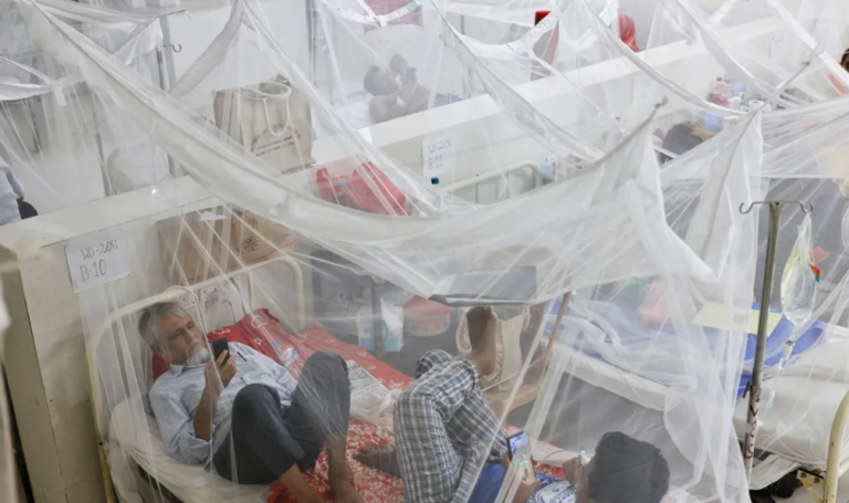 Bangladesh Dengue Crisis